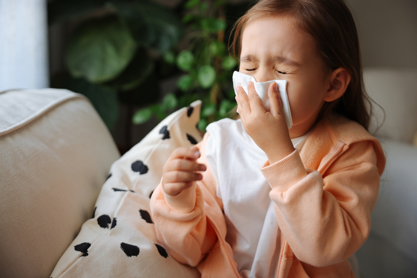 AllergiesAndAsthmaBODY1