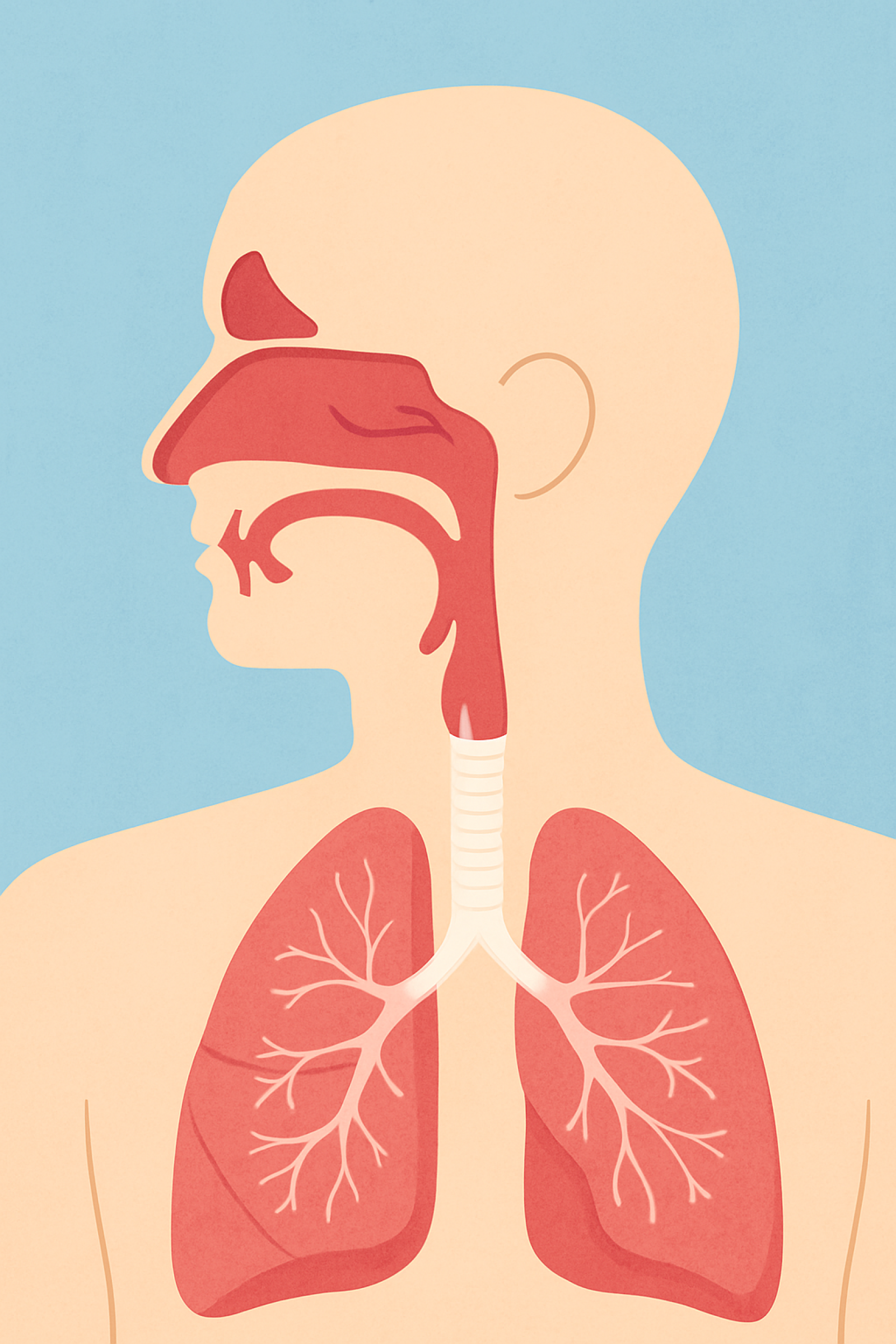 AllergiesAndAsthmaBODY3